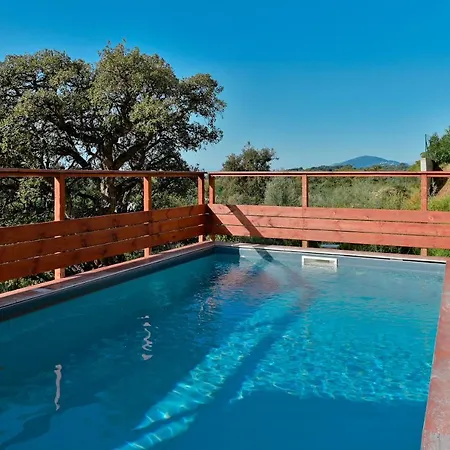 Terrasse Et Piscine A L'entree De Porticcio וילה