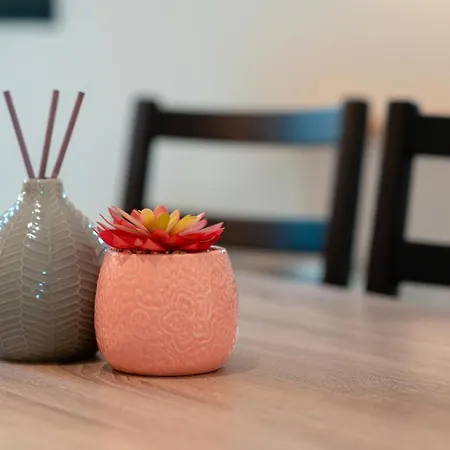 Villa Terrasse Et Piscine A L'entree De Porticcio Cauro