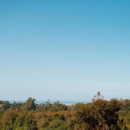 Terrasse Et Piscine A L'entree De Porticcio Cauro
