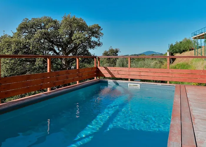 Terrasse Et Piscine à L'entrée De Porticcio Villa